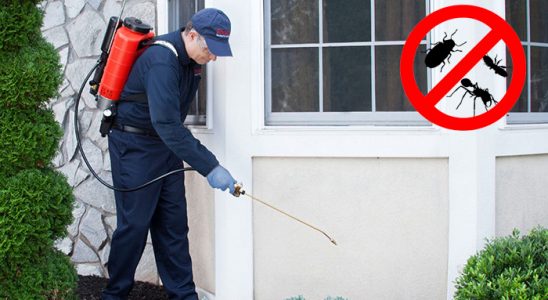 Pehlivanköy Karınca İlaçlama böcek ilaçlama ve haşere kontrolü — ilaclama-tr.com